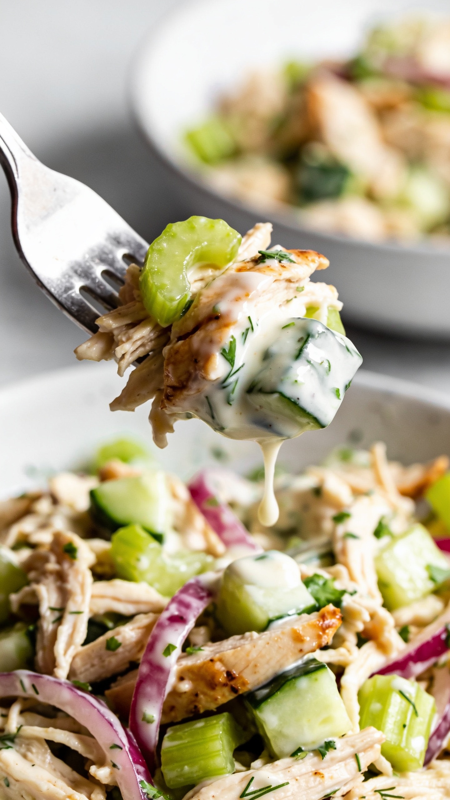 Dynamic action close-up capturing a fork lifting the perfect bite of the same salad one second before it reaches the mouth. The fork tip holds a glossy, creamy scoop showing distinct textures: a tender shred of rotisserie chicken, a crunchy celery half-moon, a small cucumber cube, and a ribbon of red onion, all coated in tangy Greek yogurt dressing with visible dill and parsley flecks. A delicate drizzle of extra dressing clings and trails back to the bowl, frozen mid-stretch for movement. Background bowl of the same salad remains slightly out of focus but clearly matching the hero look. Bright natural lighting, shallow depth of field, rich contrast, and 90–95% of the frame filled with food; only the utensil is visible, no hands or people.